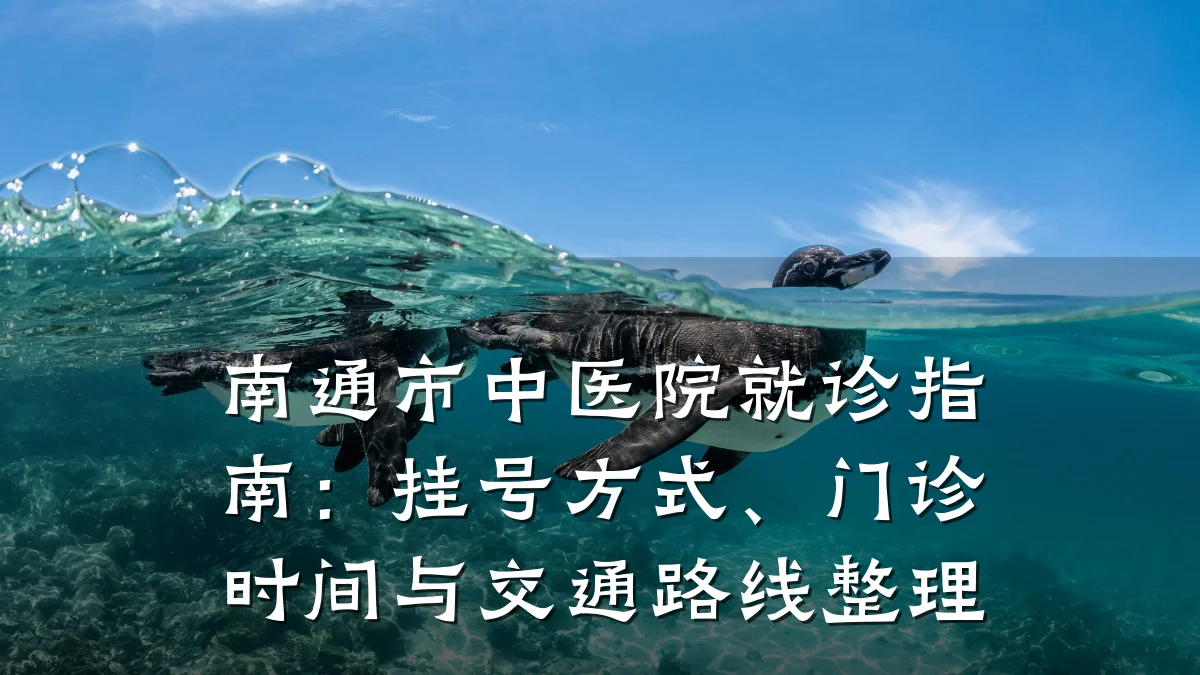 南通市中医院就诊指南:挂号方式、门诊时间与交通路线整理