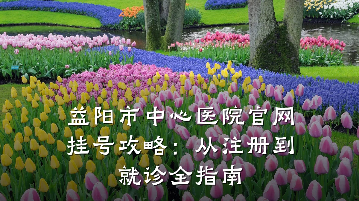益阳市中心医院官网挂号攻略：从注册到就诊全指南