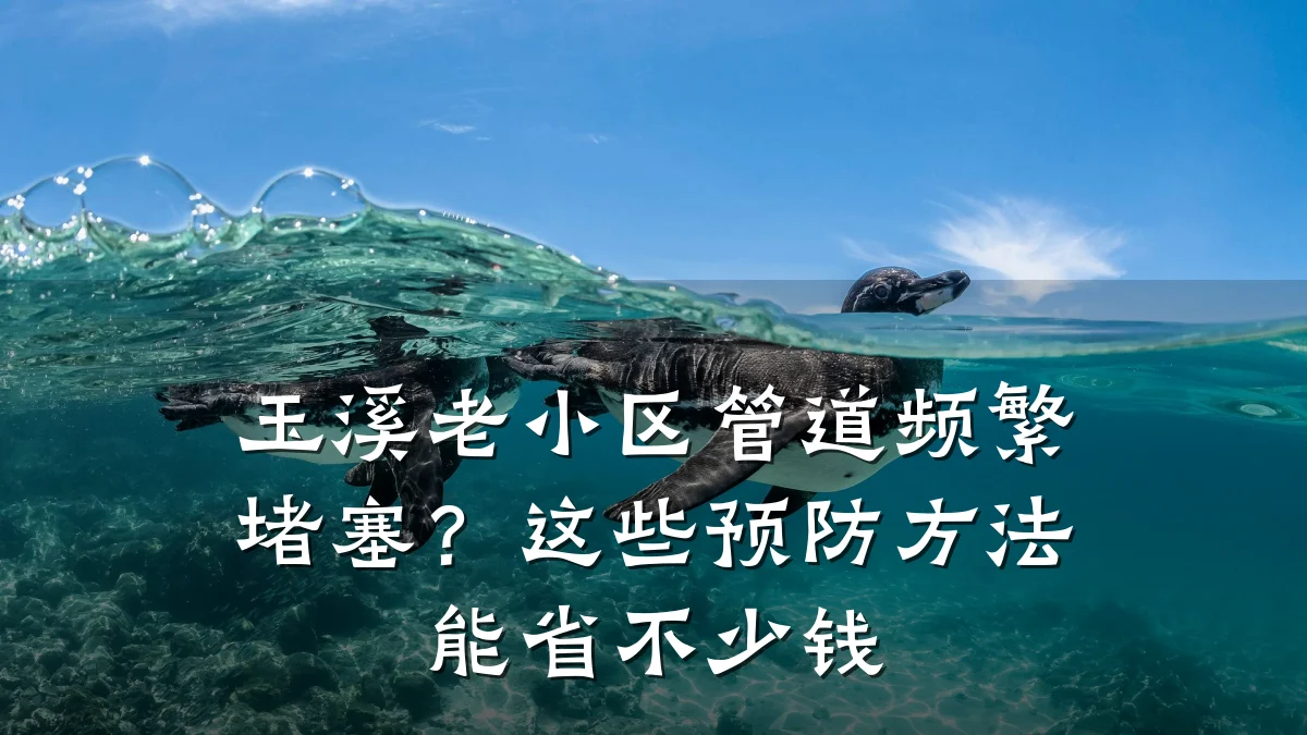 玉溪老小区管道频繁堵塞？这些预防方法能省不少钱