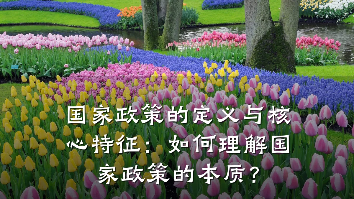 国家政策的定义与核心特征：如何理解国家政策的本质？