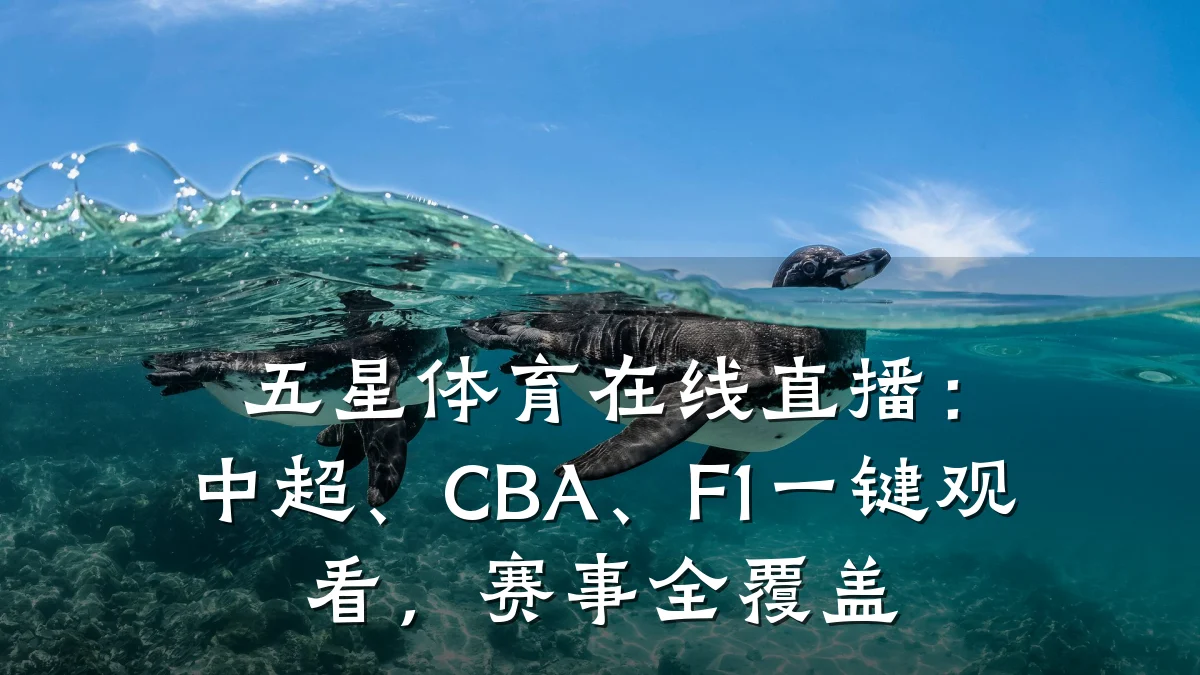 五星体育在线直播:中超、CBA、F1一键观看,赛事全覆盖