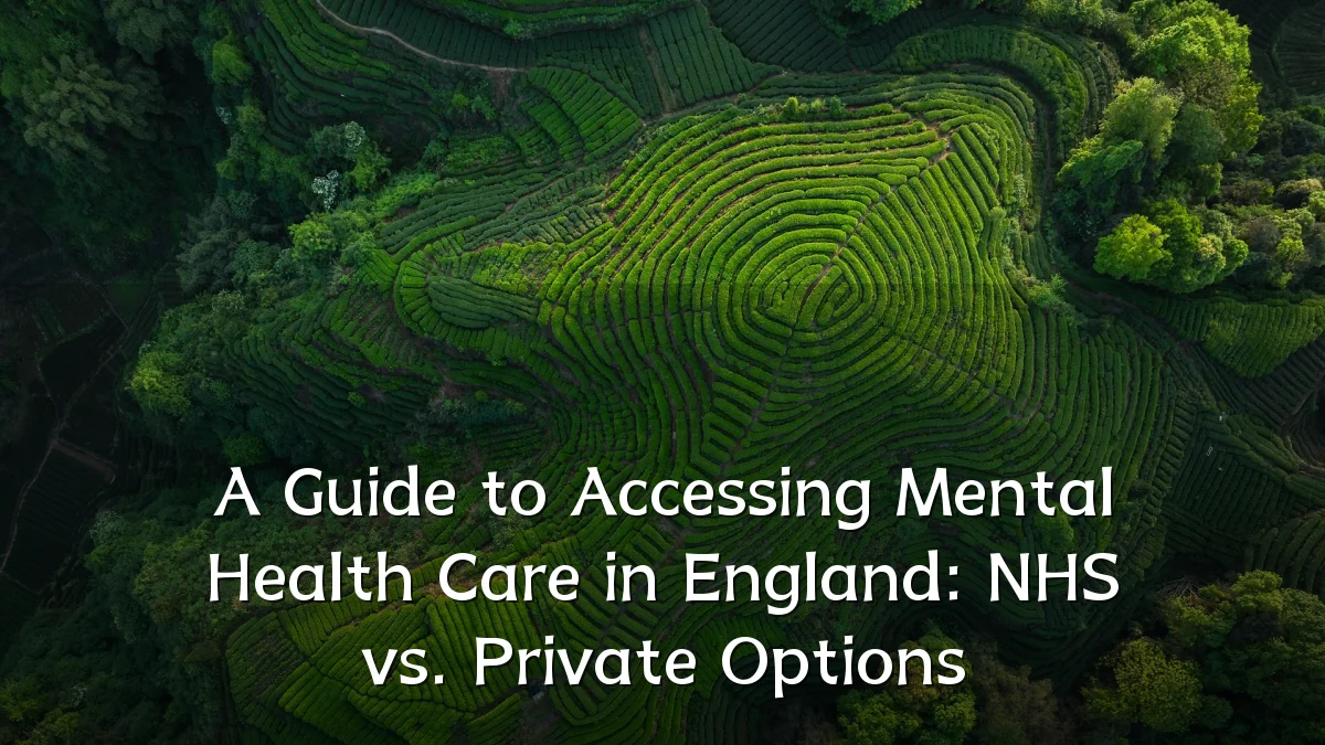 A Guide to Accessing Mental Health Care in England: NHS vs. Private Options