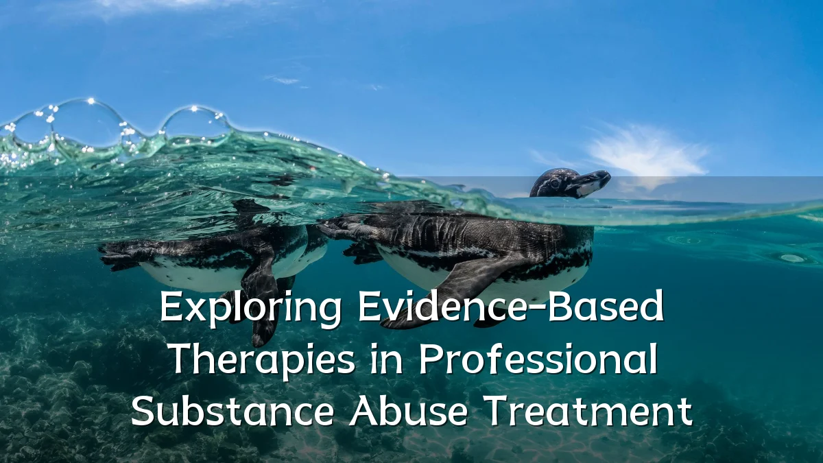 Exploring Evidence-Based Therapies in Professional Substance Abuse Treatment