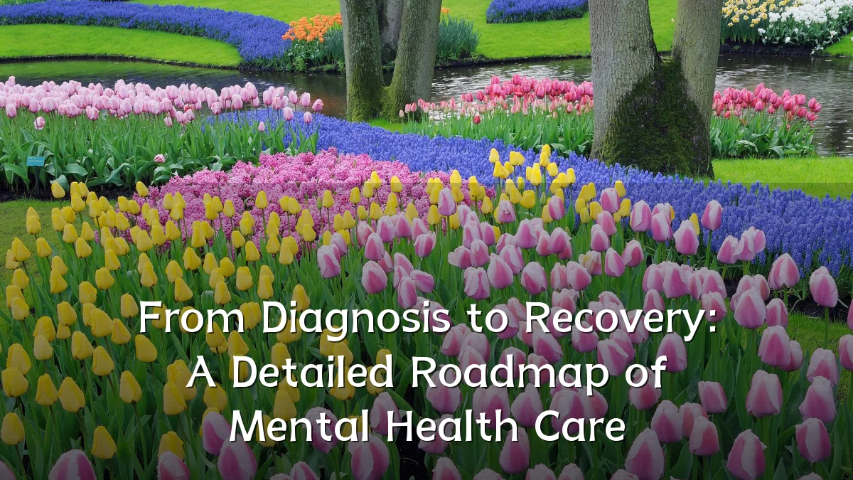From Diagnosis to Recovery: A Detailed Roadmap of Mental Health Care