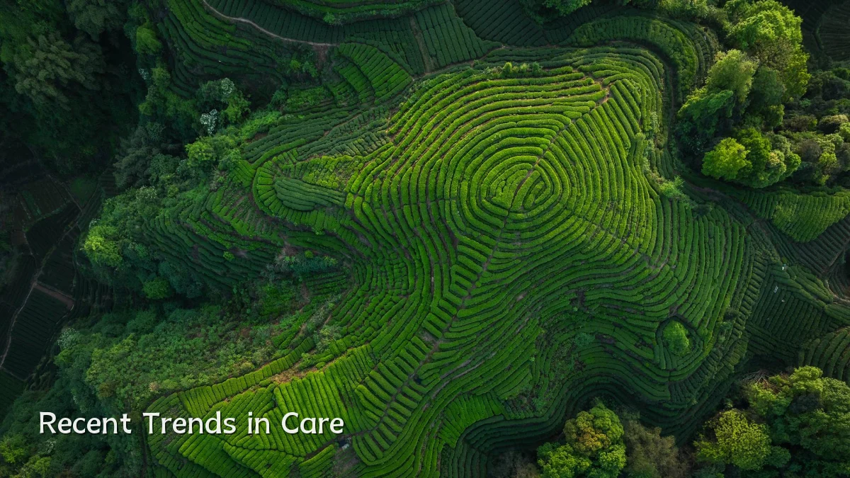Recent Trends in Care