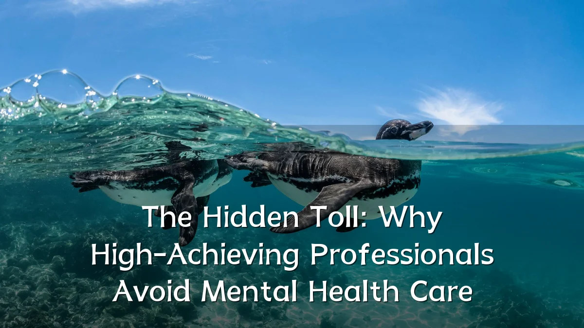 The Hidden Toll: Why High-Achieving Professionals Avoid Mental Health Care