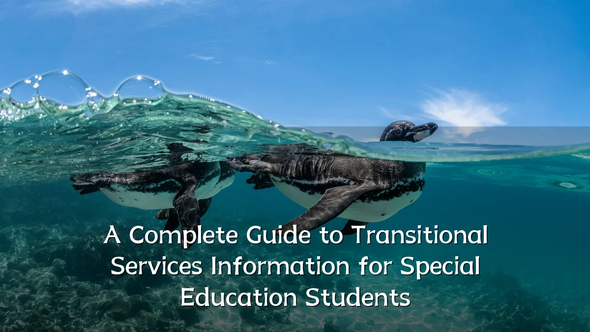 A Complete Guide to Transitional Services Information for Special Education Students