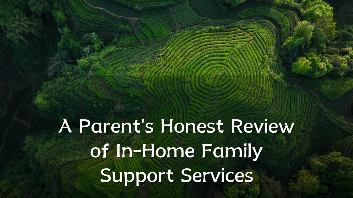 A Parent's Honest Review of In-Home Family Support Services