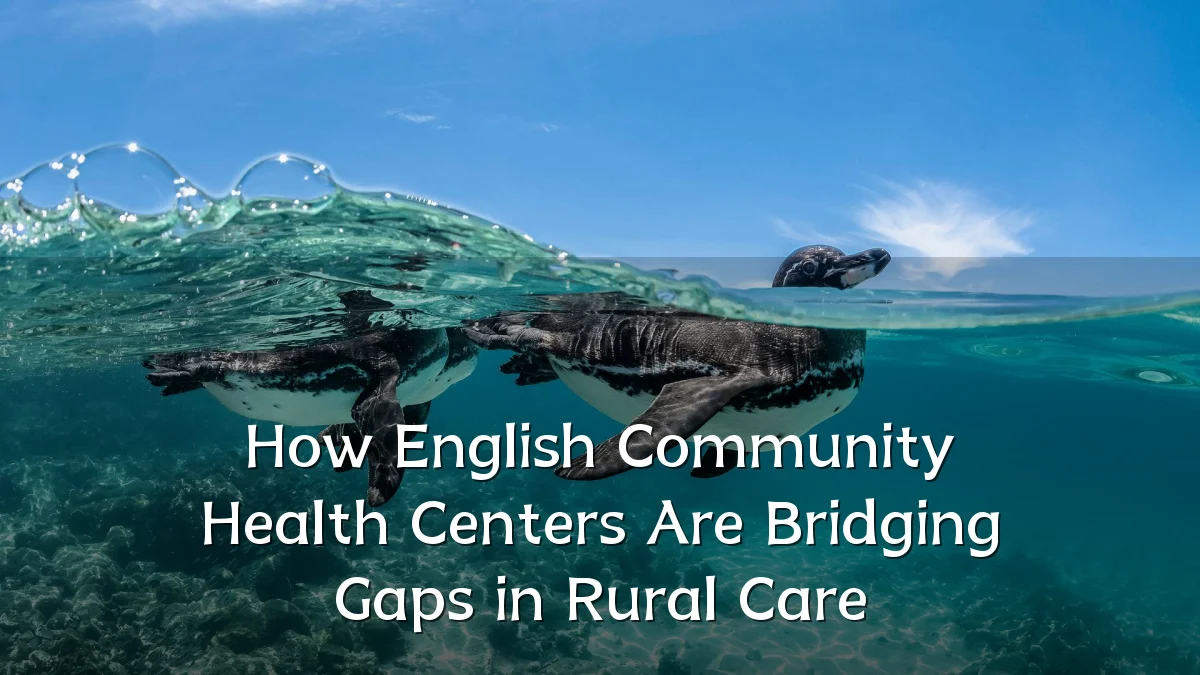 How English Community Health Centers Are Bridging Gaps in Rural Care