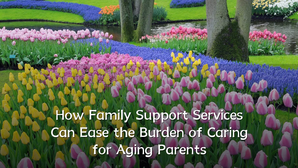 How Family Support Services Can Ease the Burden of Caring for Aging Parents