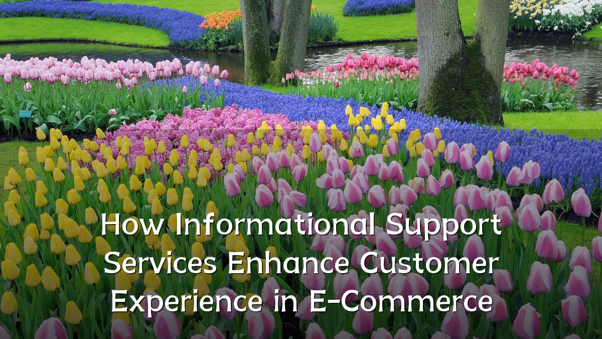 How Informational Support Services Enhance Customer Experience in E-Commerce