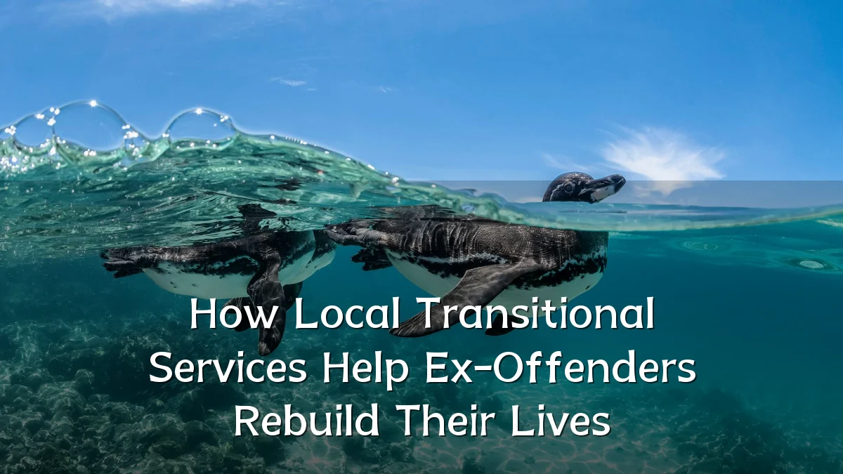 How Local Transitional Services Help Ex-Offenders Rebuild Their Lives