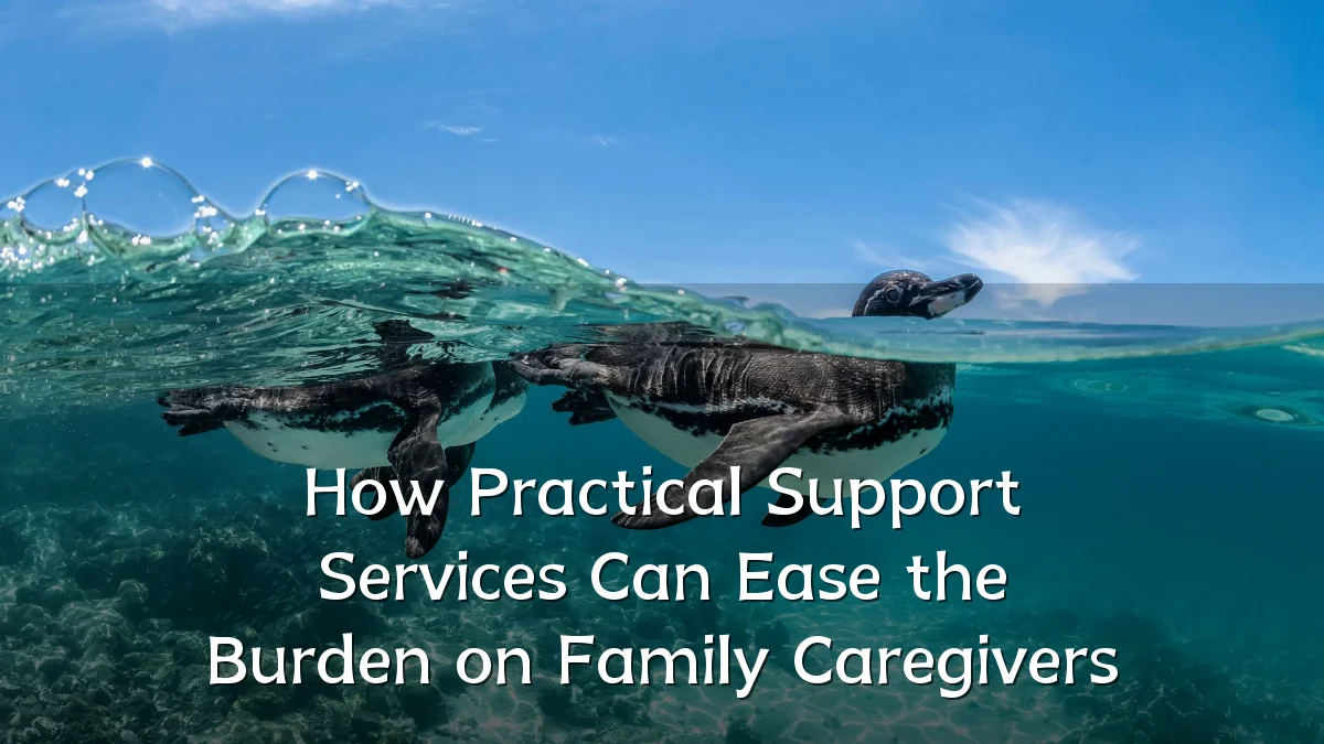 How Practical Support Services Can Ease the Burden on Family Caregivers