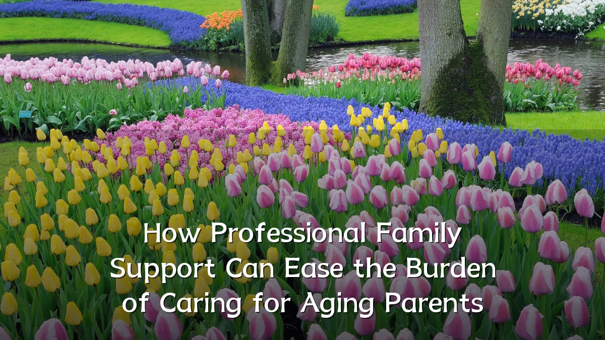 How Professional Family Support Can Ease the Burden of Caring for Aging Parents