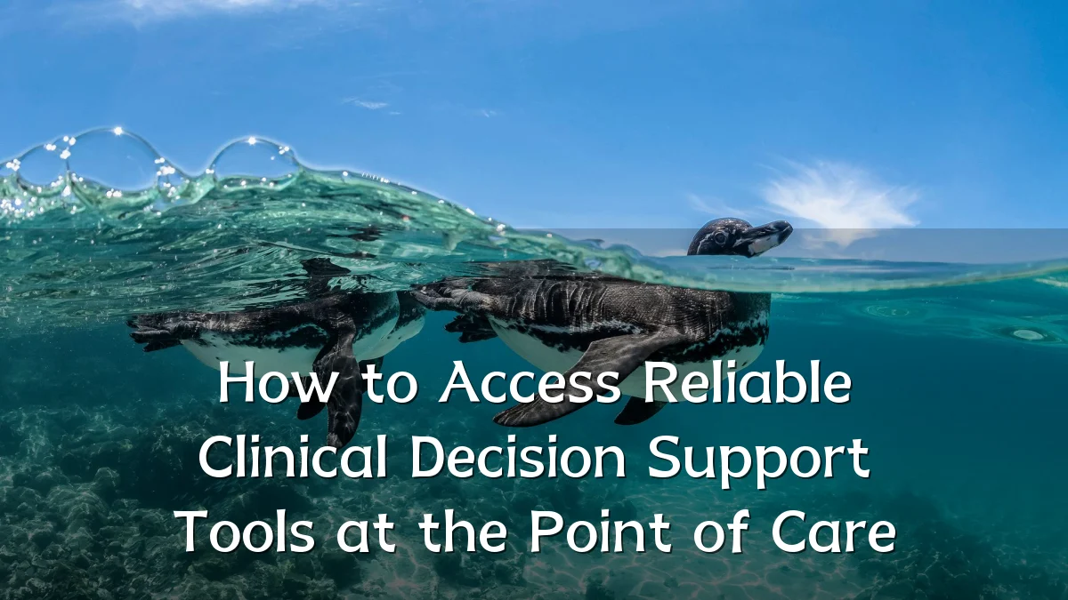 How to Access Reliable Clinical Decision Support Tools at the Point of Care