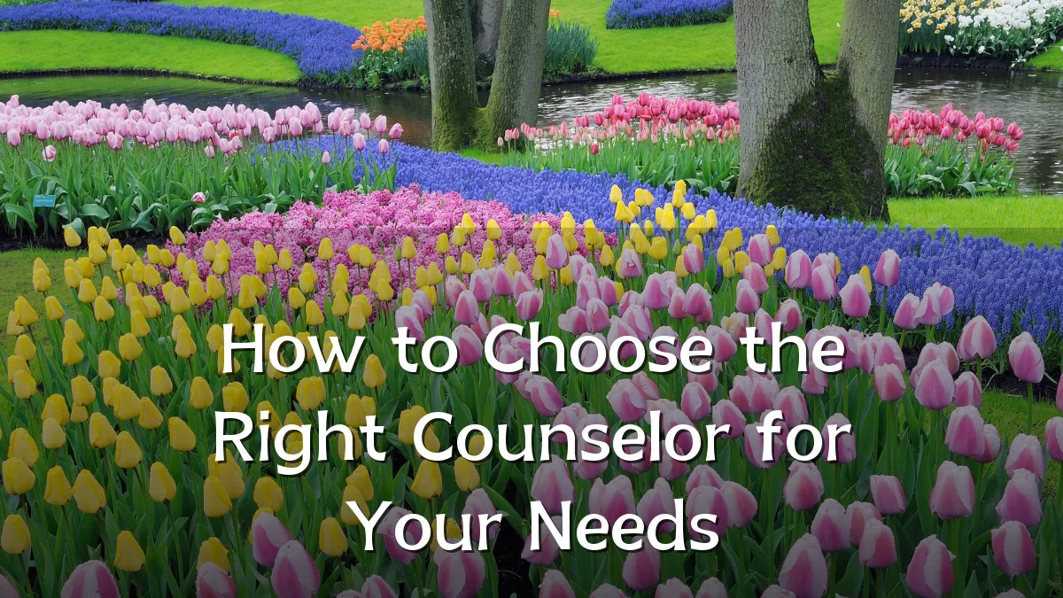 How to Choose the Right Counselor for Your Needs