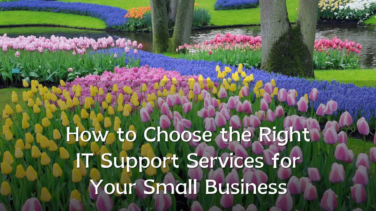 How to Choose the Right IT Support Services for Your Small Business