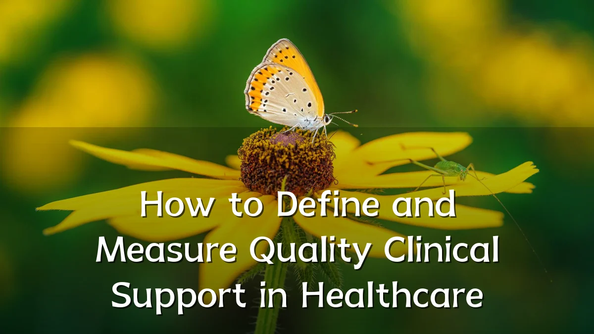 How to Define and Measure Quality Clinical Support in Healthcare