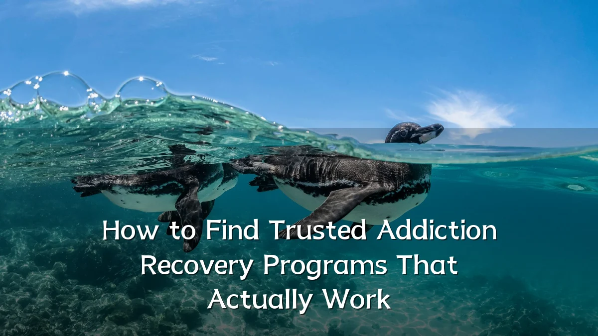 How to Find Trusted Addiction Recovery Programs That Actually Work