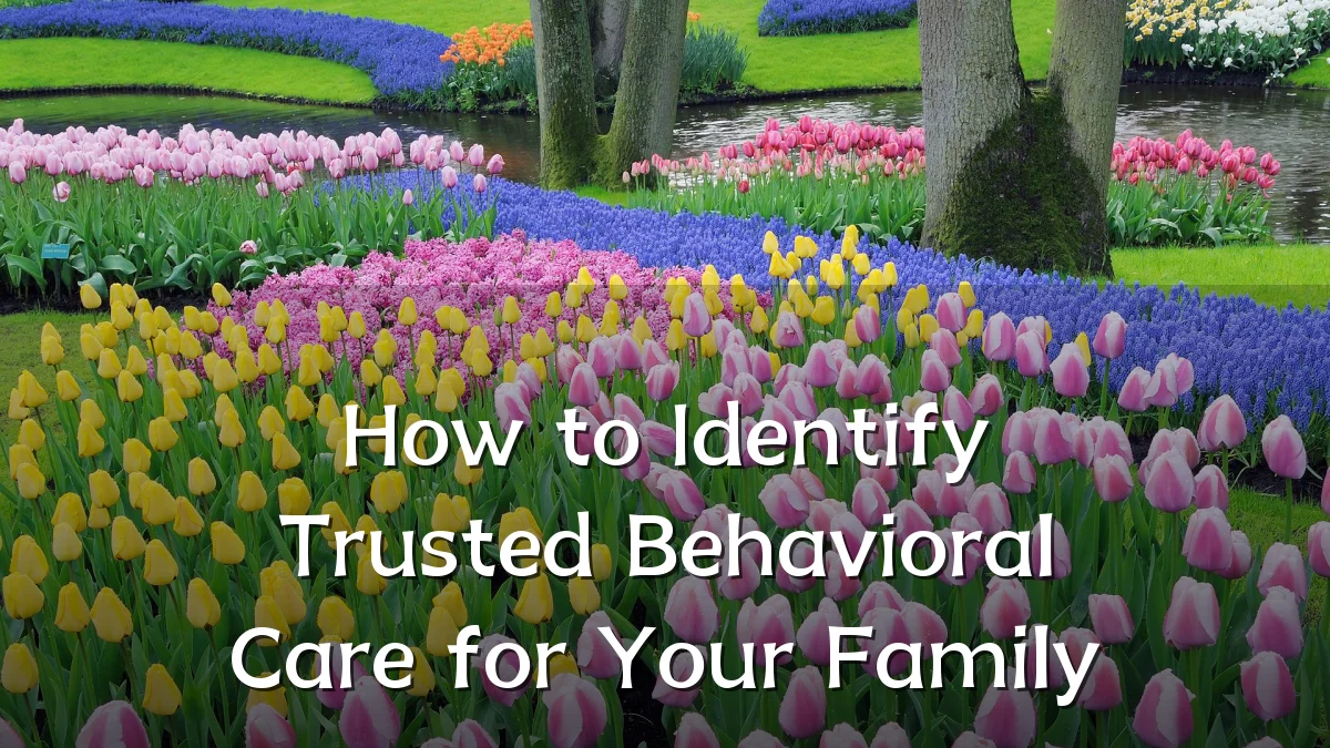 How to Identify Trusted Behavioral Care for Your Family