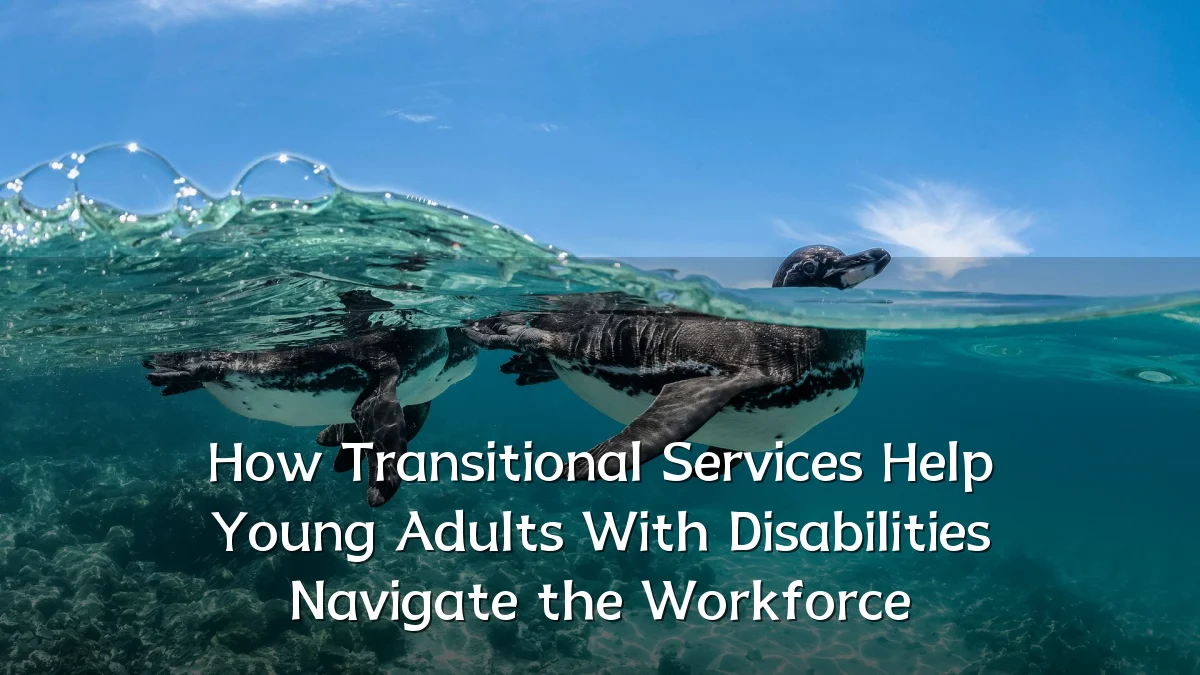 How Transitional Services Help Young Adults With Disabilities Navigate the Workforce