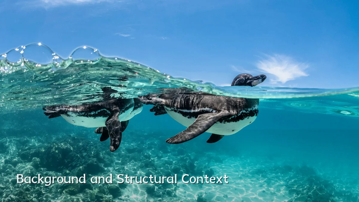 Background and Structural Context
