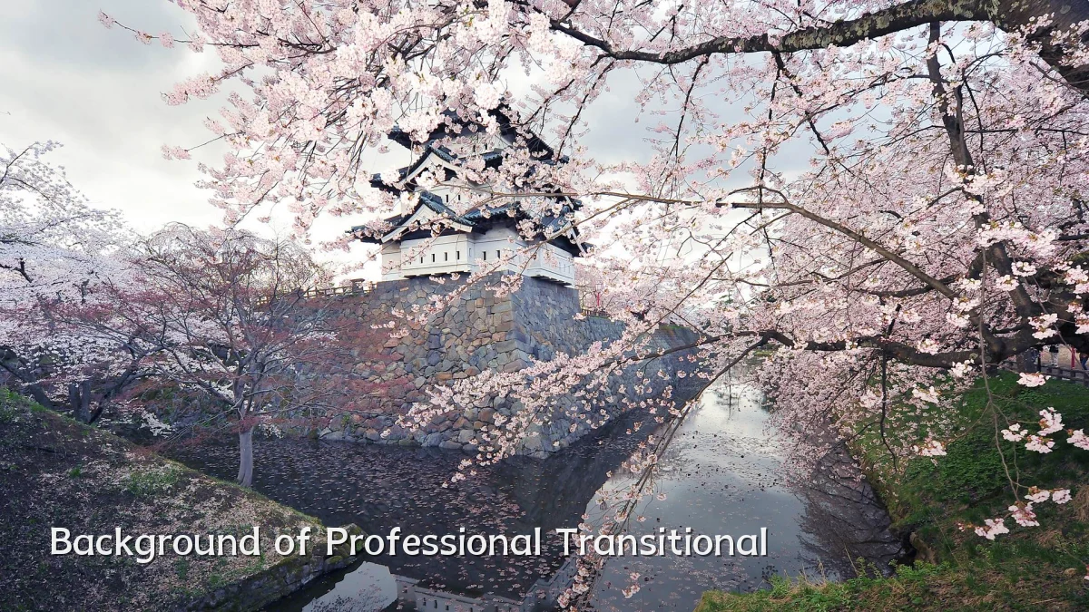 Background of Professional Transitional