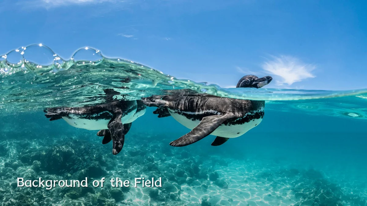 Background of the Field