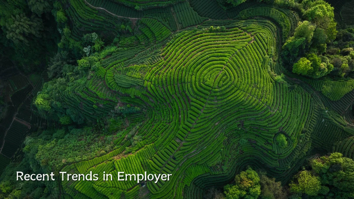 Recent Trends in Employer