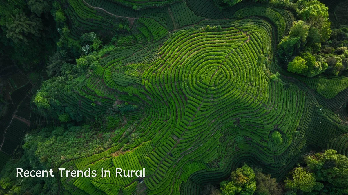 Recent Trends in Rural