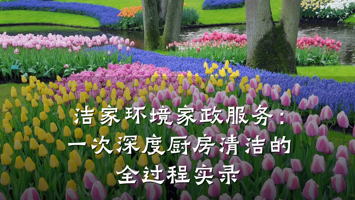 洁家环境家政服务:一次深度厨房清洁的全过程实录
