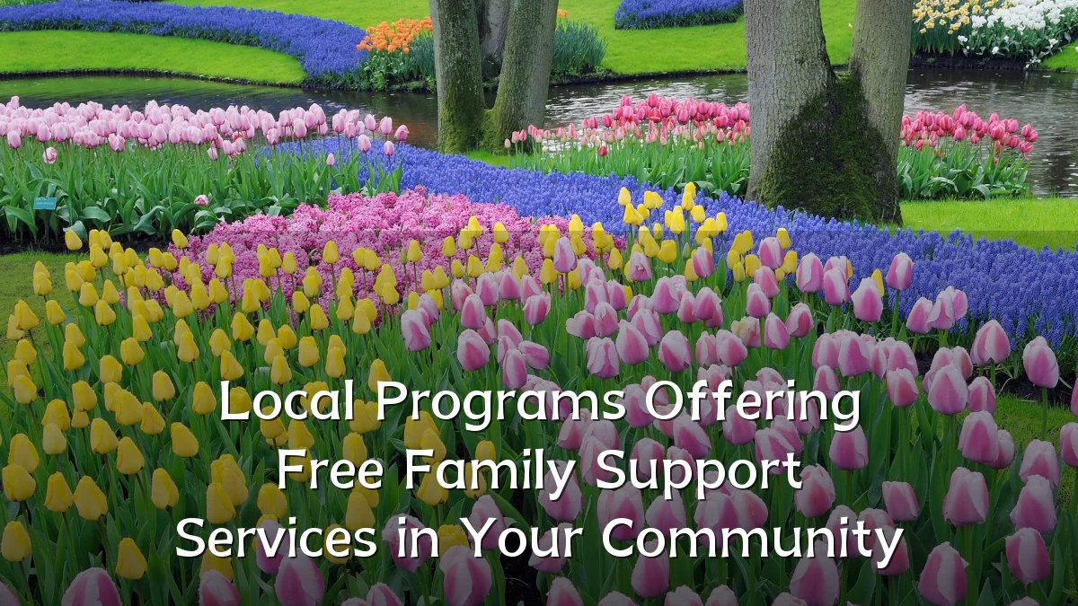Local Programs Offering Free Family Support Services in Your Community