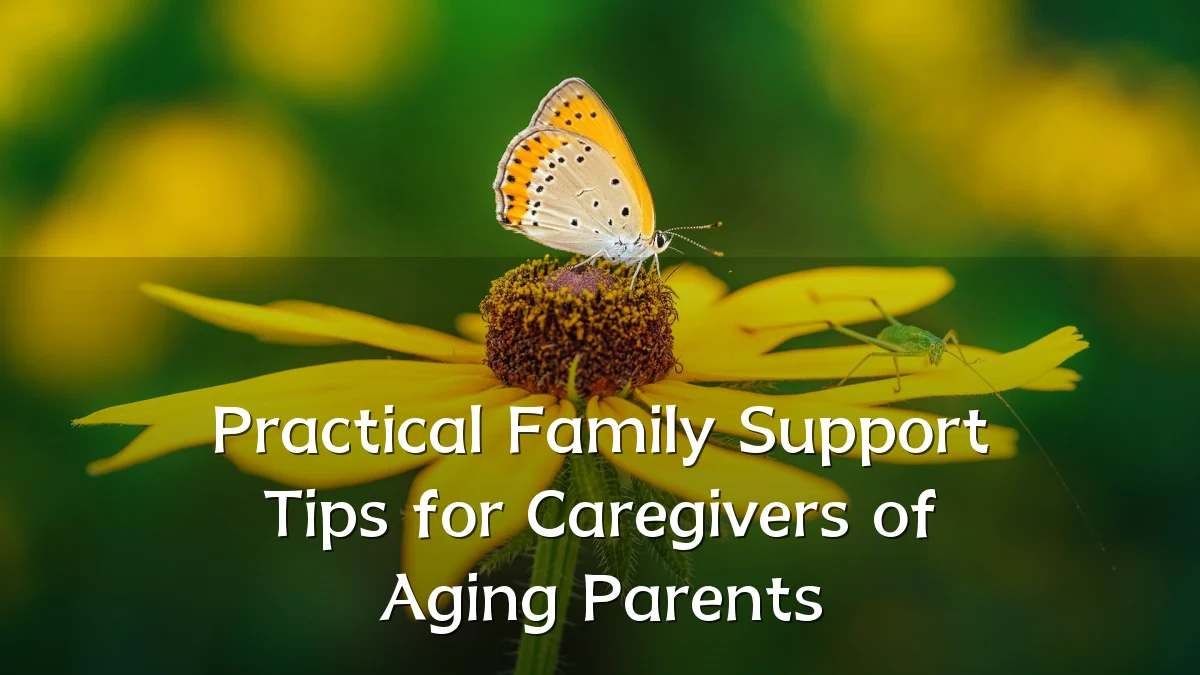 Practical Family Support Tips for Caregivers of Aging Parents