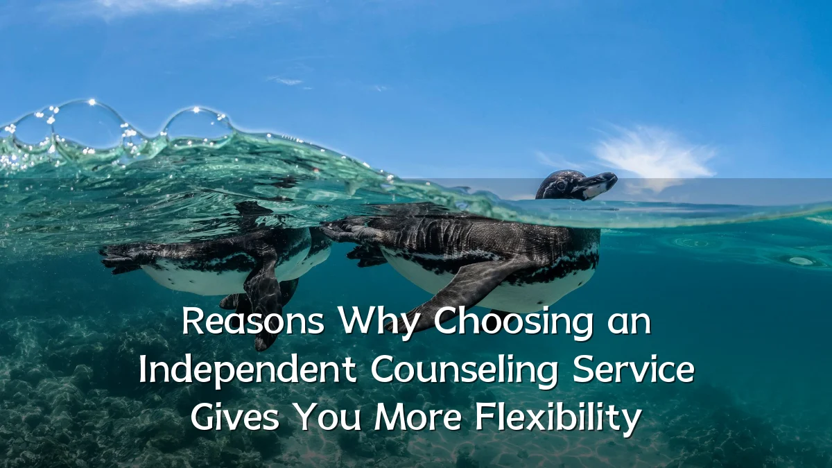 Reasons Why Choosing an Independent Counseling Service Gives You More Flexibility