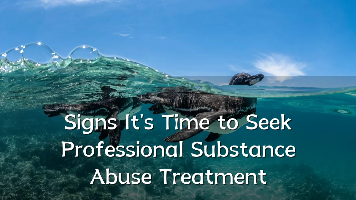 Signs It's Time to Seek Professional Substance Abuse Treatment