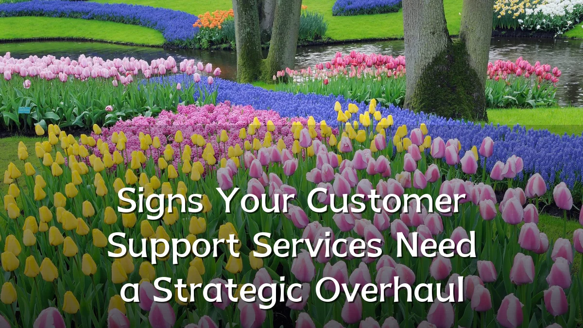 Signs Your Customer Support Services Need a Strategic Overhaul