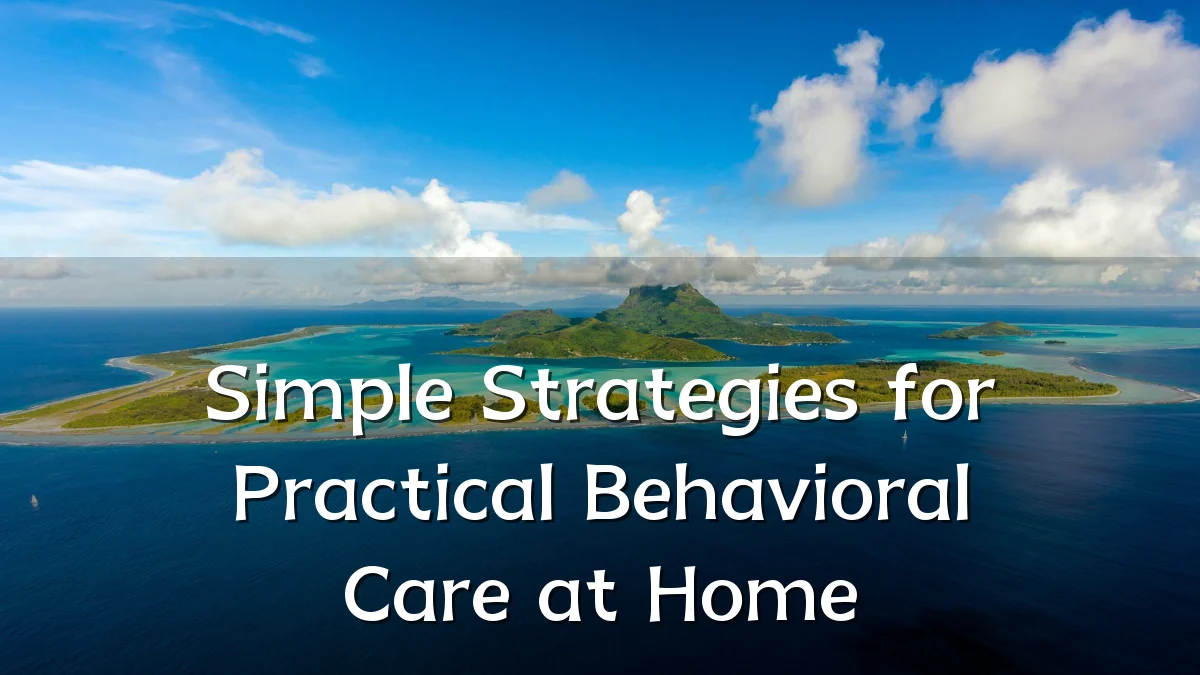 Simple Strategies for Practical Behavioral Care at Home