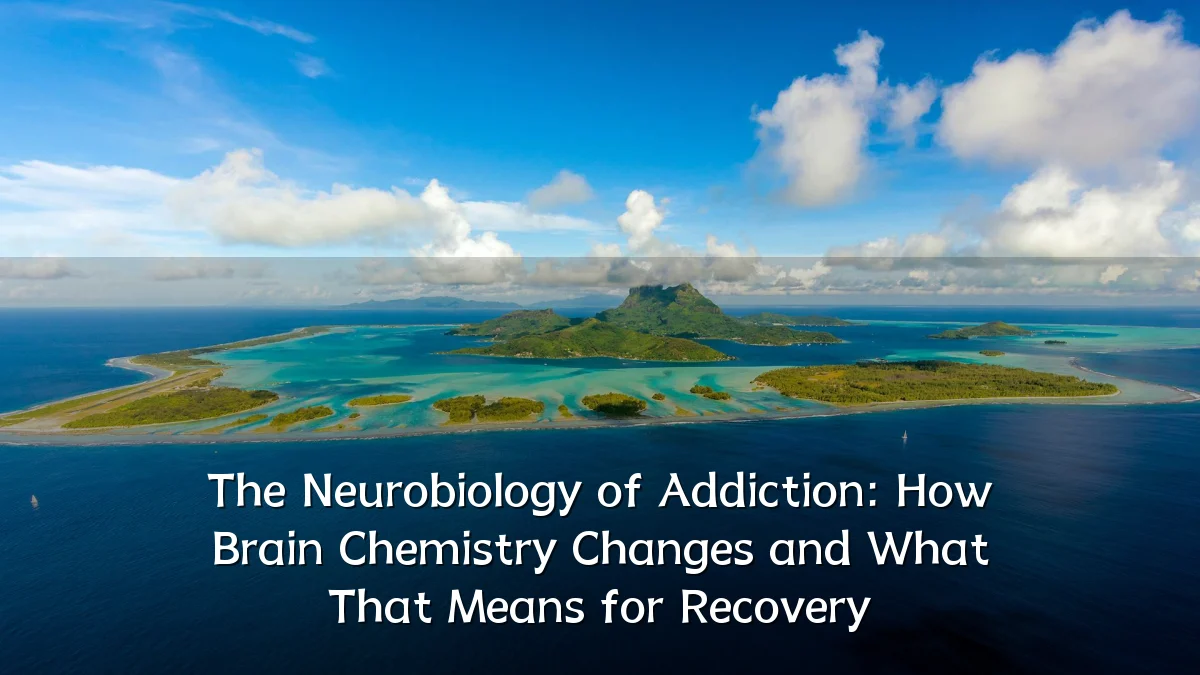 The Neurobiology of Addiction: How Brain Chemistry Changes and What That Means for Recovery