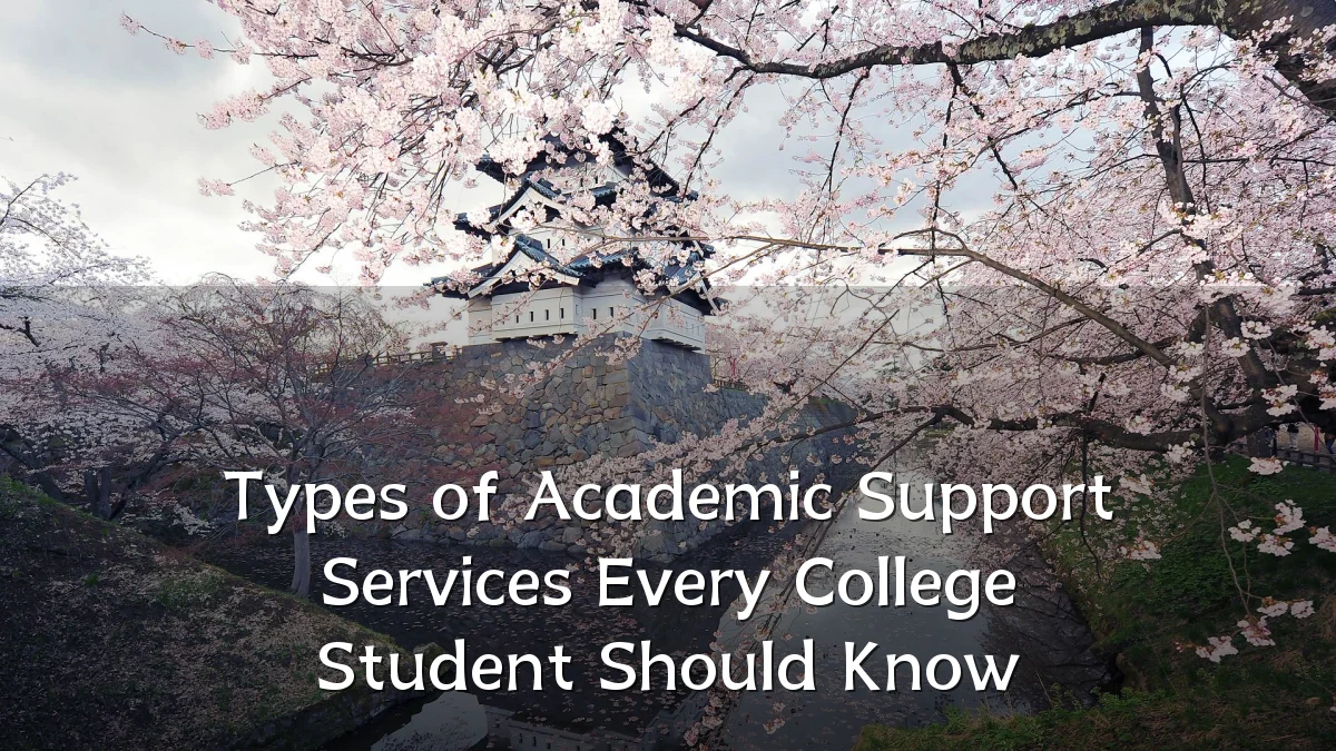 Types of Academic Support Services Every College Student Should Know