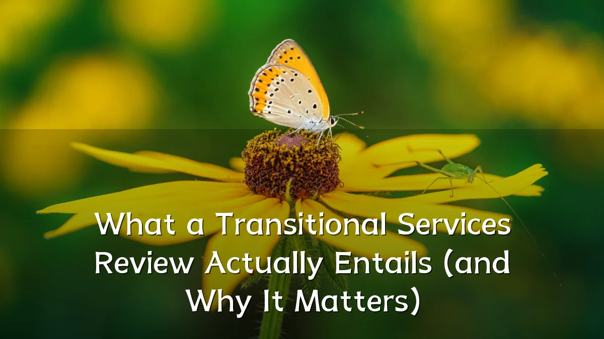 What a Transitional Services Review Actually Entails (and Why It Matters)
