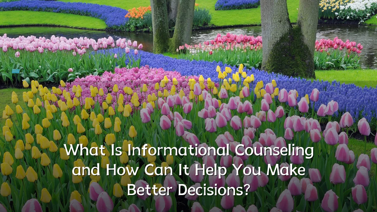 What Is Informational Counseling and How Can It Help You Make Better Decisions?