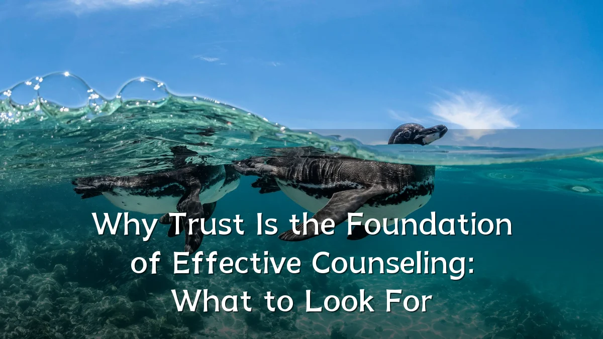 Why Trust Is the Foundation of Effective Counseling: What to Look For