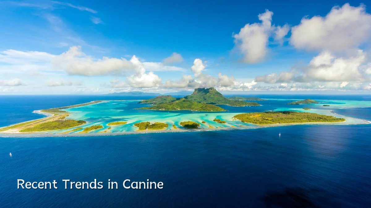 Recent Trends in Canine