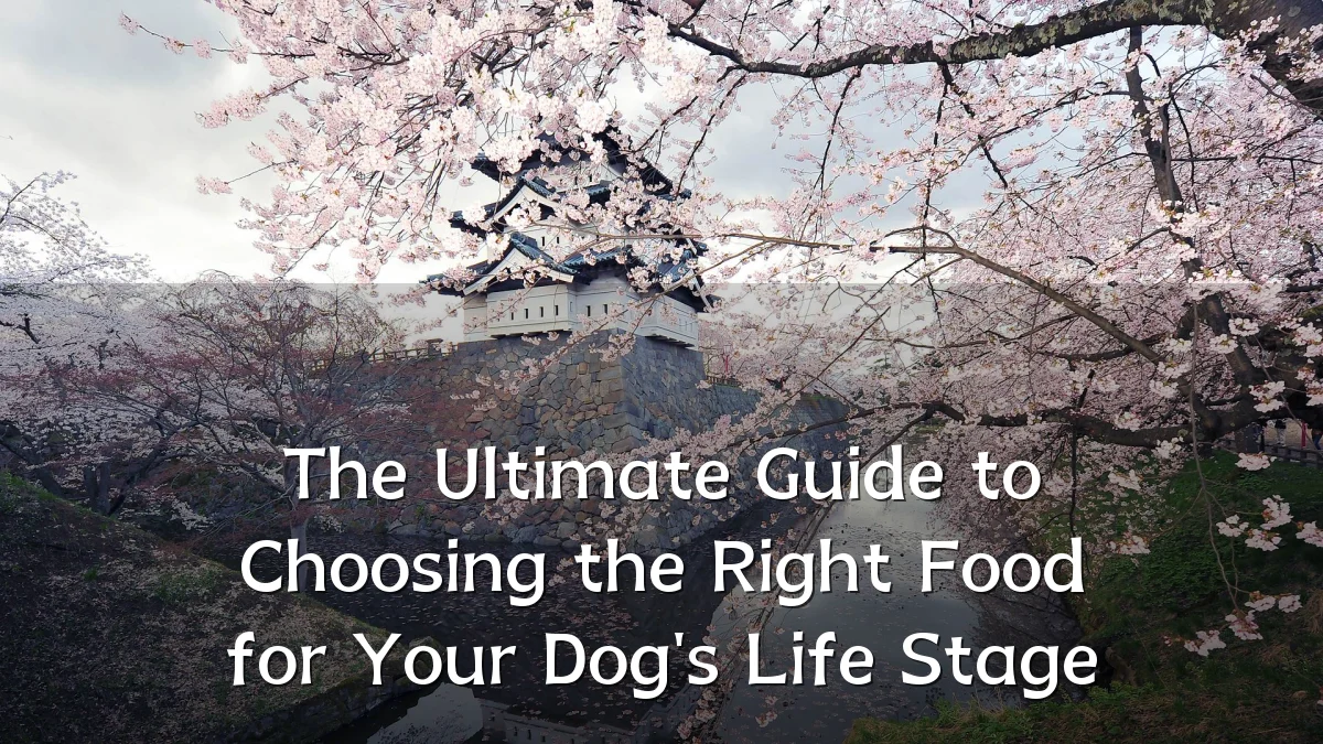The Ultimate Guide to Choosing the Right Food for Your Dog's Life Stage