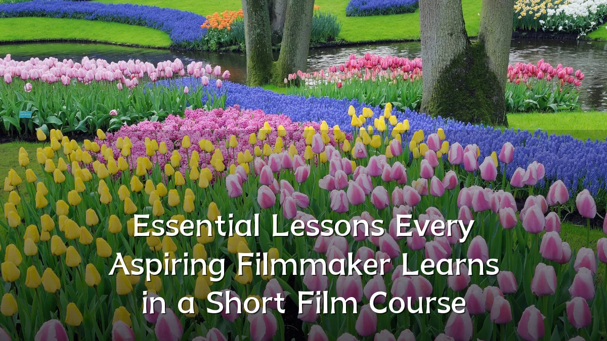 Essential Lessons Every Aspiring Filmmaker Learns in a Short Film Course