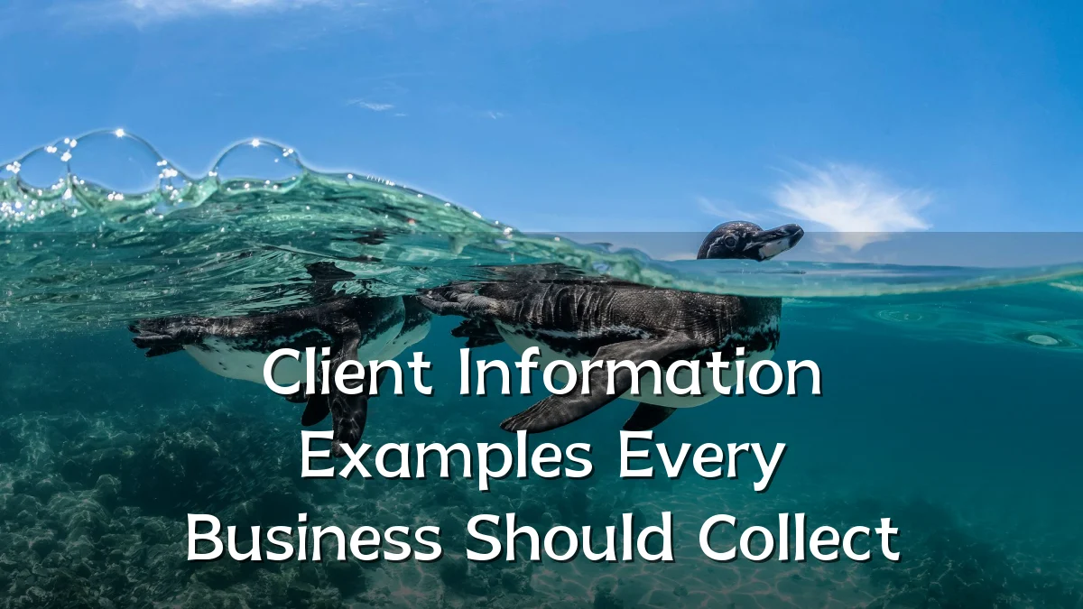 Client Information Examples Every Business Should Collect
