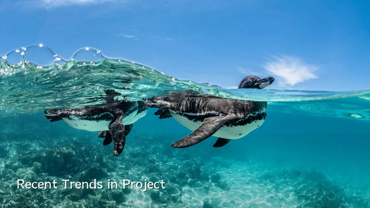 Recent Trends in Project