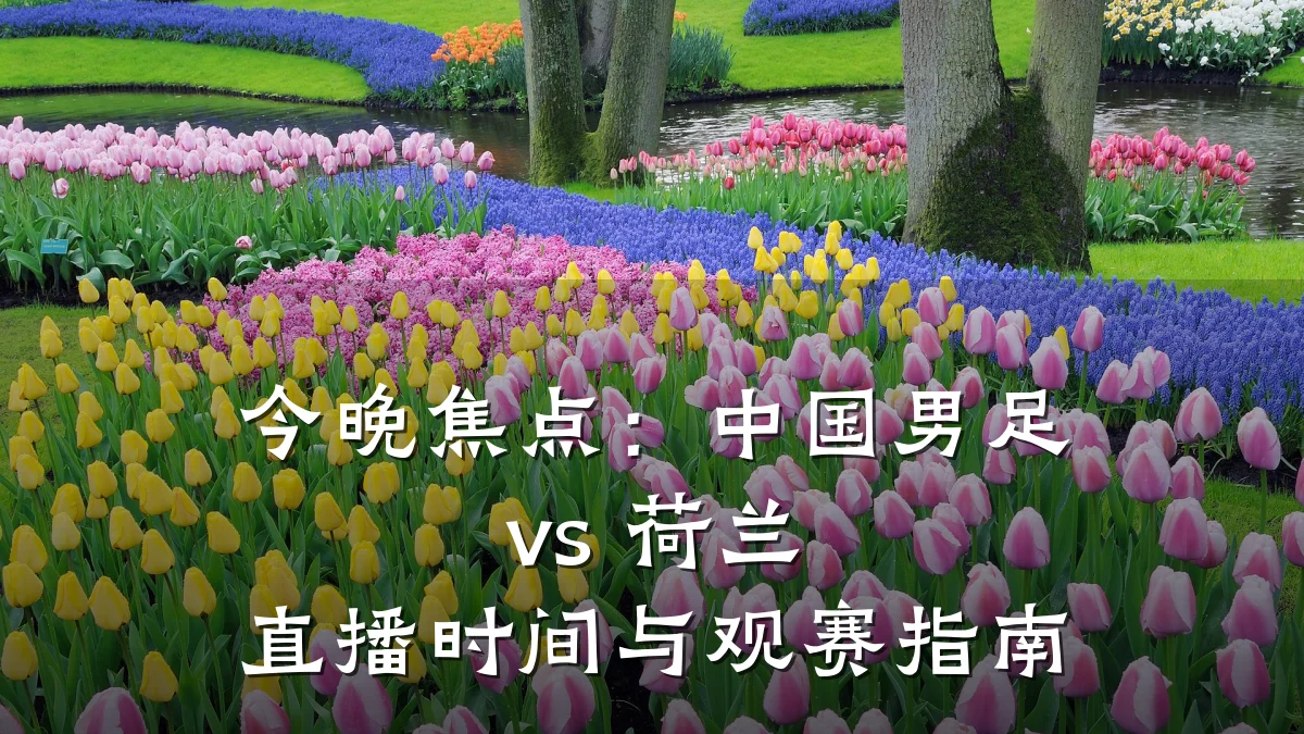 今晚焦点：中国男足 vs 荷兰 直播时间与观赛指南
