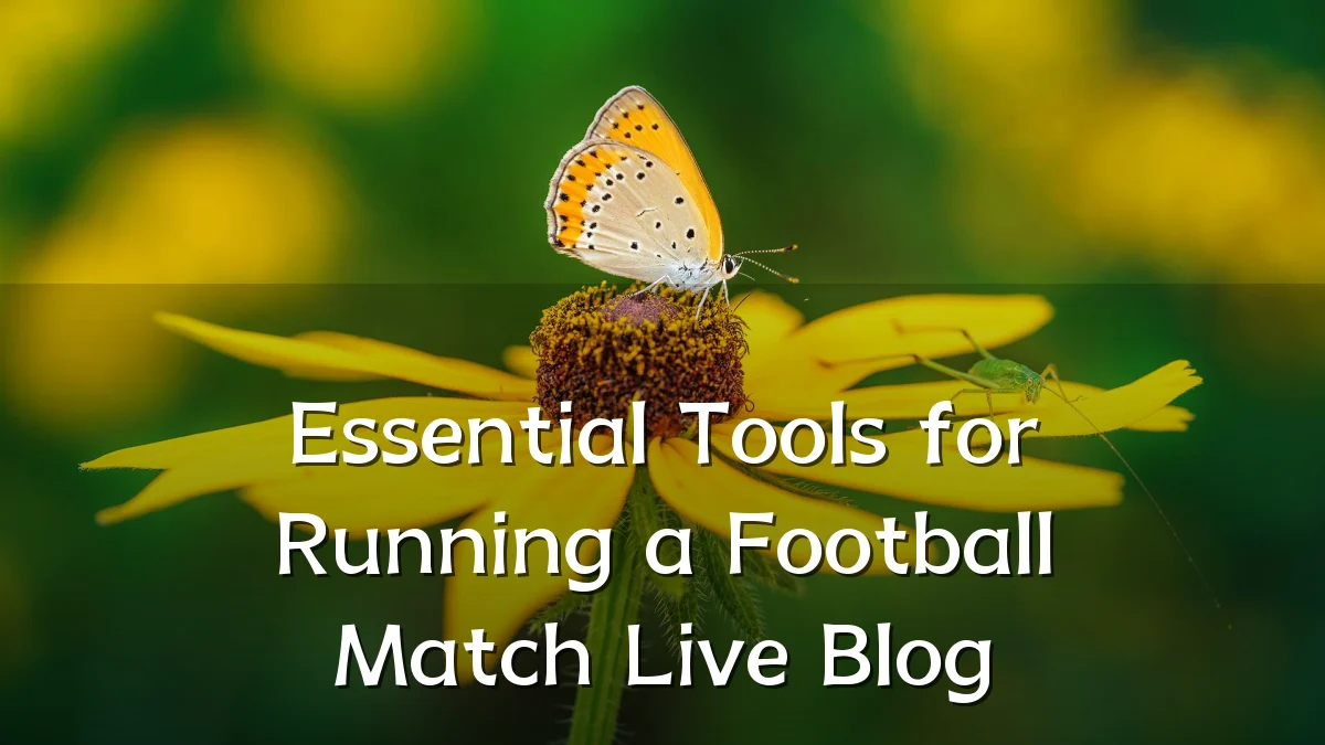 Essential Tools for Running a Football Match Live Blog
